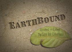 earthbound: created and called to care for creation (dvd)